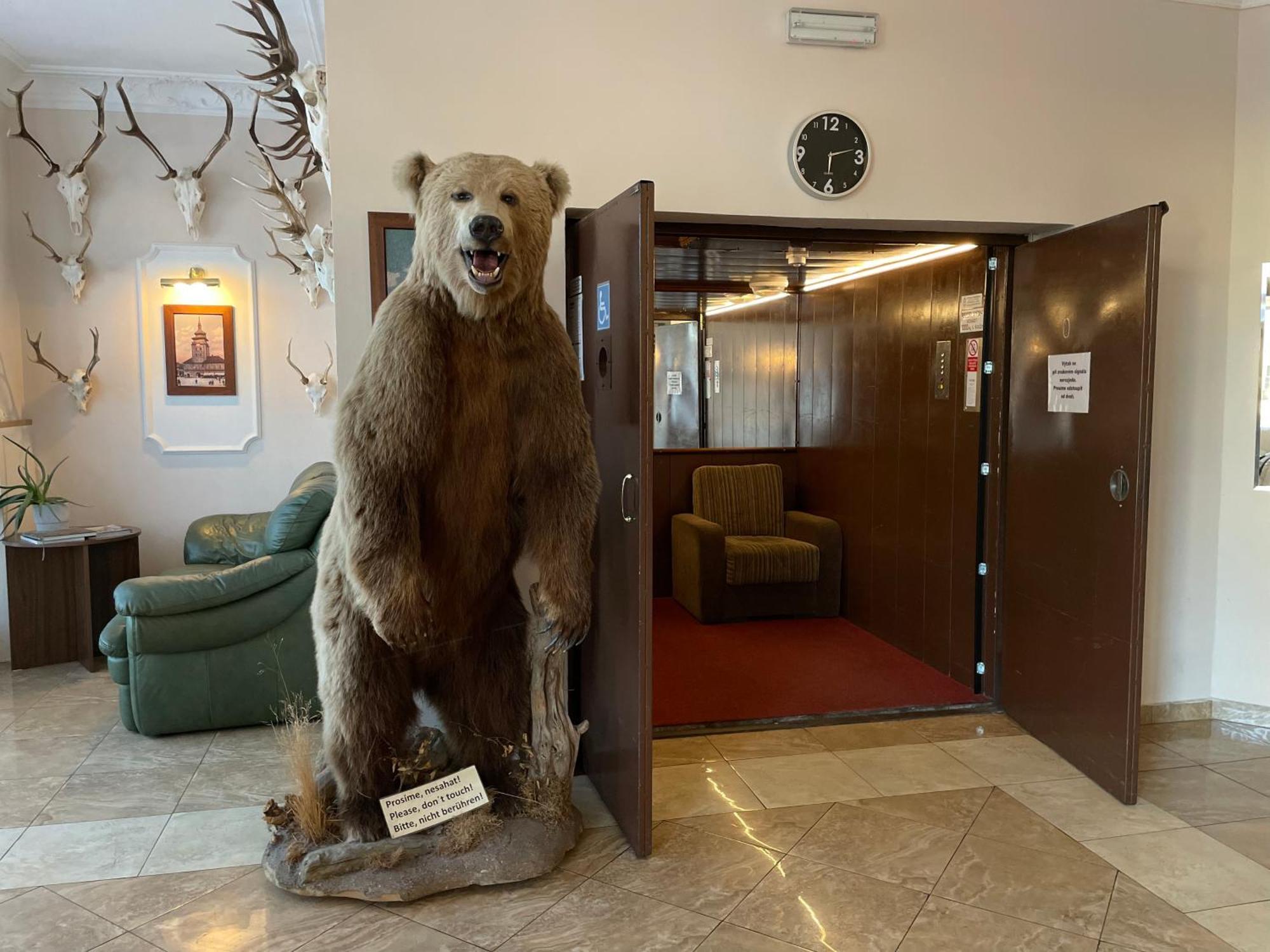 Hotel Cerny Orel Zatec Eksteriør billede
